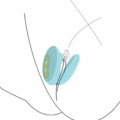 Xocoon Koppel Vibrator Foreplay Enhancer 17 Xocoon Koppel Vibrator Foreplay Enhancer -Clitoris Vibrators Verkoop 11101 mint 08