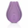 Jimmy Jane Jimmyjane - Love Pod Vibrator Tre - Paars 2 Jimmy Jane Jimmyjane - Love Pod Vibrator Tre - Paars -Clitoris Vibrators Verkoop jimmyjane love pod vibrator tre paars