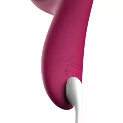 We-Vibe Nova 2 Rabbit Vibrator 21 We-Vibe Nova 2 Rabbit Vibrator -Clitoris Vibrators Verkoop nova 2 rabbit vibrator usb