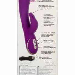 California Exotic Siliconen Vibrator Thumping Rabbit - Paars -Clitoris Vibrators Verkoop siliconen vibrator thumping rabbit paars ak